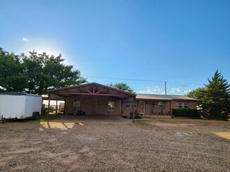 303 Badger, Levelland, TX 79336