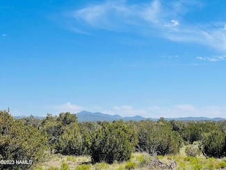2074 W Critter Pass, Williams, AZ 86046