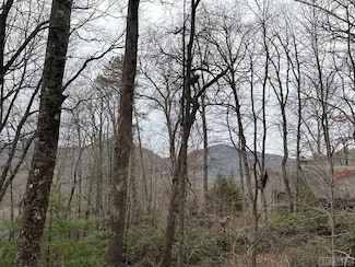 Lot 35 Buckberry Dr N, Sapphire, NC 28774