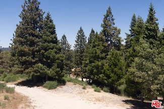 188 Mill Pond Rd, Lake Arrowhead, CA 92352