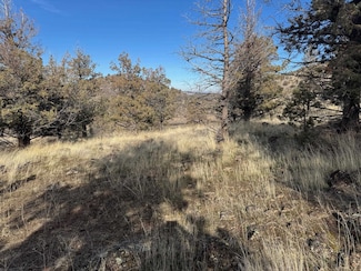 9-2 / 126 Elkridge Rd Unit 9-2, Lake Shastina, CA 96094