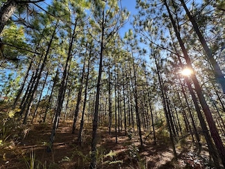 0 Perry County Road 51, Marion, AL 36756