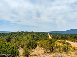 TBD Waterloo Way --, Seligman, AZ 86337
