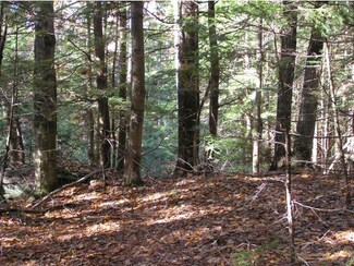 1-7302 Egerton Rd, Langdon, NH 03602