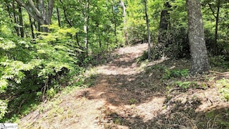 146 Glassy Falls Trail, Travelers Rest, SC 29690