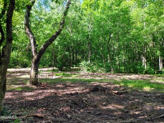 0 Barker Rd Unit 1191343, Corryton, TN 37721