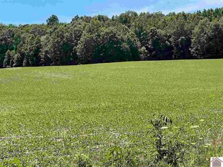 0 Roosevelt Road & Curd Cemetery Rd, Dexter, KY 42036