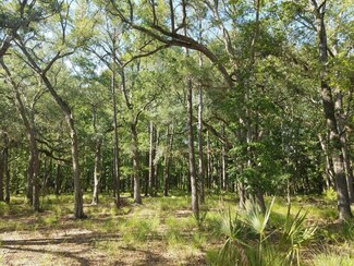 2 Park Island Rd, Meggett, SC 29449