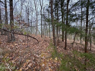 Lot 44 Zuni Way, Del Rio, TN 37727