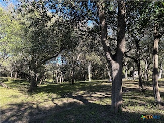 2168 River Oaks, Skidmore, TX 78389