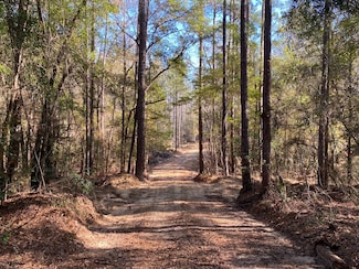 1 Highway 59, Stockton, AL 36579