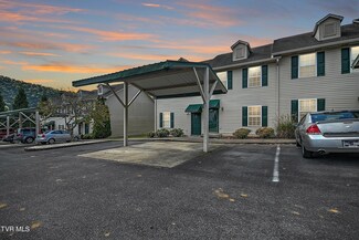 2420 Volunteer Pkwy Unit 33, Bristol, TN 37620