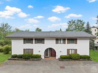 67 Clarence D Lane Rd Unit 1, Windham, NY 12496