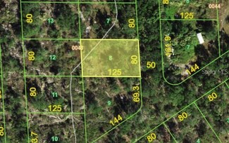 261 Sawfish Ln, Cleveland, FL 33982