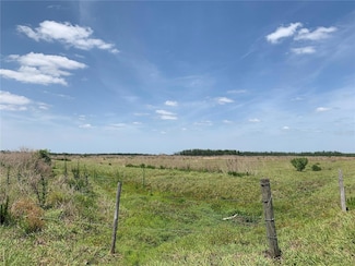 0 Johnston Rd Unit MFRTB8385713, Zolfo Springs, FL 33890