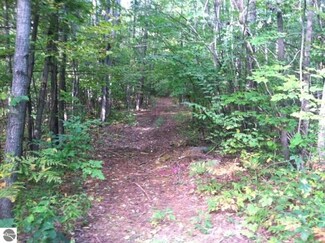 7100 W Vernon Rd, Weidman, MI 48893