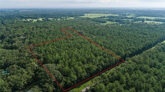 0 NW County Road 30th Unit MFROM683802, Alachua, FL 32615