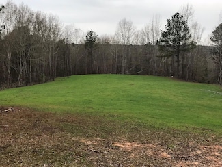 0 Pinhook Rd Unit 23619364, Demopolis, AL 36732