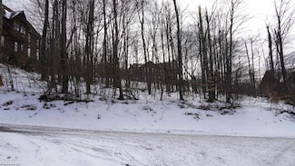 45 Winterset Dr, Davis, WV 26260