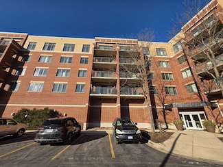 225 Main St Unit 210, Roselle, IL 60172