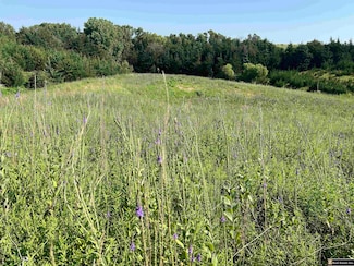 Aspen Estates Lot 7, David City, NE 68632