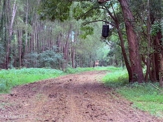 0 Bourke Rd, Natchez, MS 39120