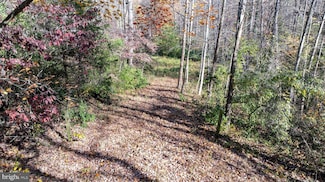 TBD Pine Torch Ln Unit 78A, Madison, VA 22727