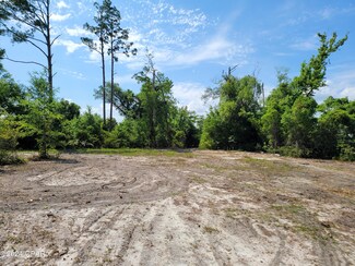 9615 Indian Bluff Resort Ln, Youngstown, FL 32466