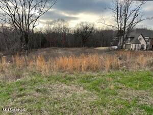 7222 Vaiden Rd, Hernando, MS 38632