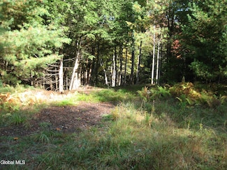 14 Granite Ridge Rd, Chestertown, NY 12817