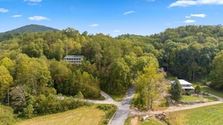 0 Laurel Springs Rd Unit 7287376, Mineral Bluff, GA 30559