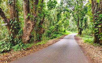 0 Government Beach Rd Unit 715216, Pahoa, HI 96778