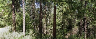 166 Higdon Rd, West Point, CA 95255
