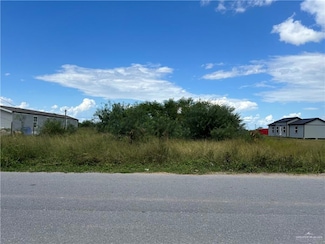 8902 Vista de Palmas Dr, Edcouch, TX 78538