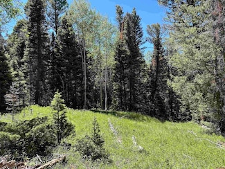 433 Juniper Dr, Cimarron, CO 81220