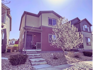 61 Avocet Ct, Longmont, CO 80501