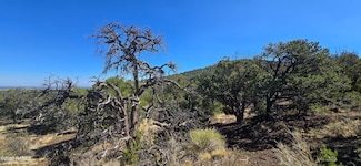 20202016t No Name Rd, Williams, AZ 86046