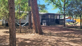 4072 S Gold Dust Trail, Show Low, AZ 85901
