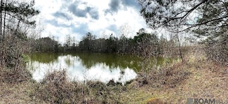 11591 Grant St, Wilson, LA 70789
