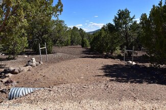 46 County Road 8140, Vernon, AZ 85940