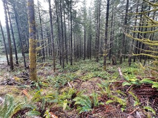 0 Lot D NE Westerholm Rd, Brush Prairie, WA 98606