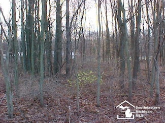 Lot 18/19 Onway Dr, Whiteford Township, MI 49267