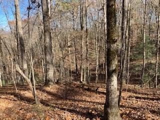 Lot 260 Catawba Cir, Ellijay, GA 30540