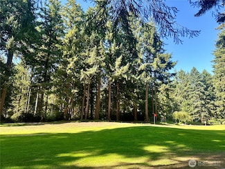 11307 & 11311 Country Club Dr, Anderson Island, WA 98303