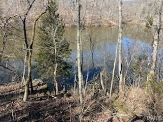 1092 Forest Way, Lake Sherwood, MO 63357