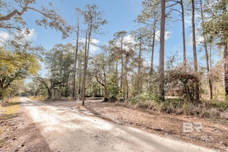 5250 Lossing Rd Unit 2, Coden, AL 36523