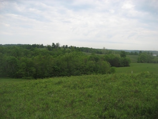 004 Buckler Ln, Olive Hill, KY 41164