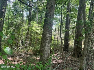 0 Hughes Rd, Bailey, MS 39320