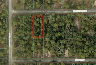 Lot#11 S Beach Ct, Rainbow Lakes Estates, FL 34431