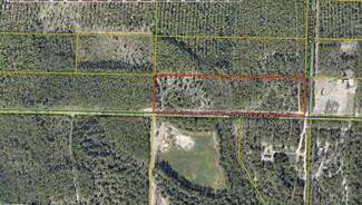 10 Acres Joe Duggar Rd, Freeport, FL 32439